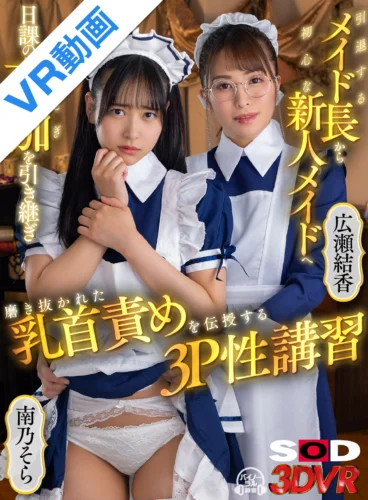 【VR】引退するメイド長から初心な新人メイドへ 日課の夜伽を引き継ぎ 磨き抜かれた乳首責めを伝授する3P性講習