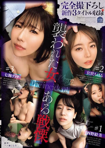 完全撮下ろし新作3タイトル収録 襲われた女 ある戦慄 the incident