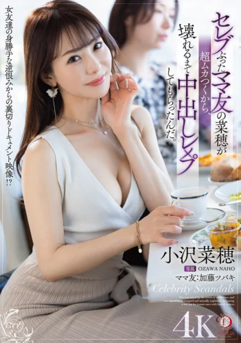 セレブぶったママ友の菜穂が超ムカつくから、壊れるまで中出しレ×プしてもらったんだ。 小沢菜穂