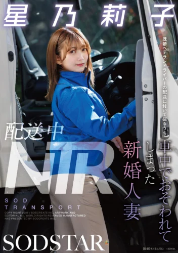 配送中NTR 既婚ベテランドライバーの配送に付いて回るうち車中でおそわれてしまった新婚人妻 星乃莉子