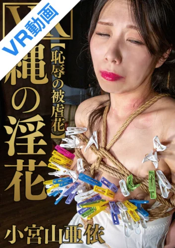 【VR】縄の淫花VR 恥辱の被虐花 小宮山亜依