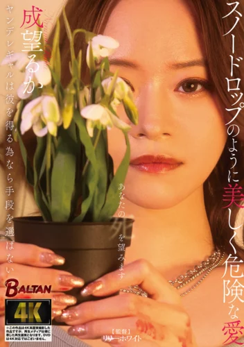 ヤンデレギャルは彼を得る為なら手段を選ばない スノードロップのように美しく危険な愛 成望るか